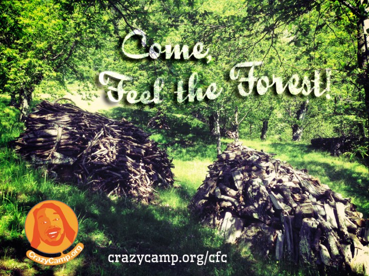 crazy camp feel the forest